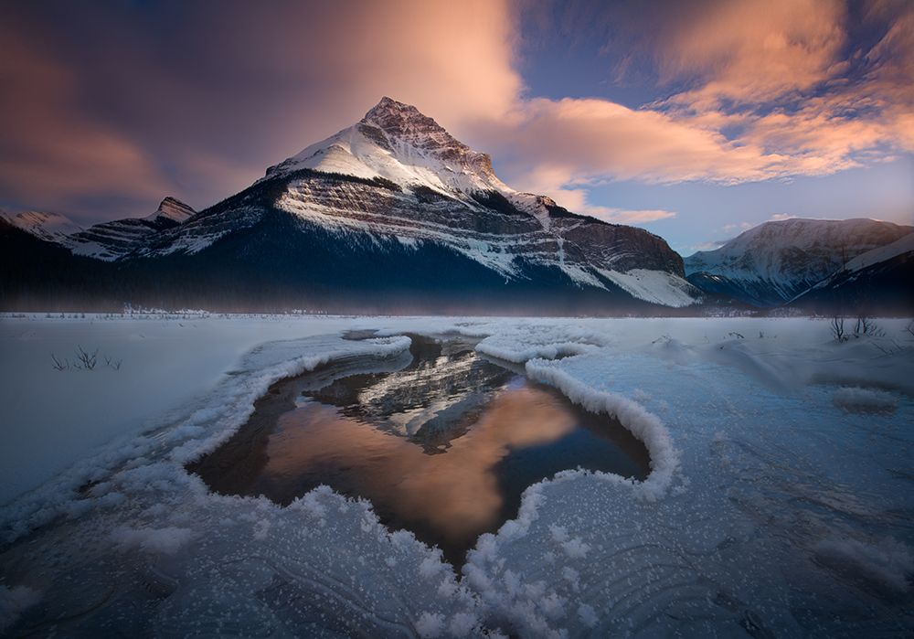 Ice of Spades art print by Doug Solis for $57.95 CAD