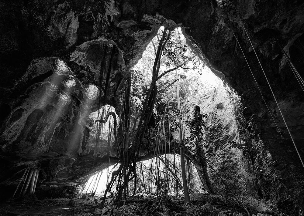 Middle Caicos Cave In Bw art print by Matt Anderson for $57.95 CAD
