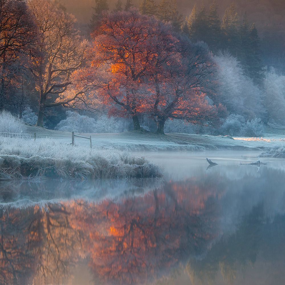 River Brathay art print by Wolfy for $57.95 CAD