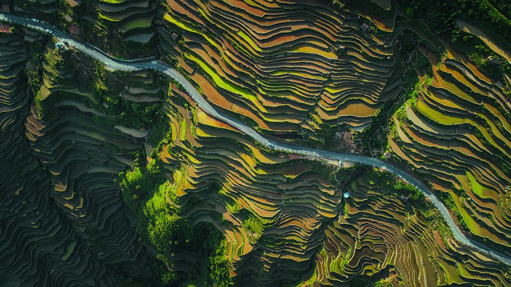 The Way Of Terraced Fields art print by Tianqi for $57.95 CAD