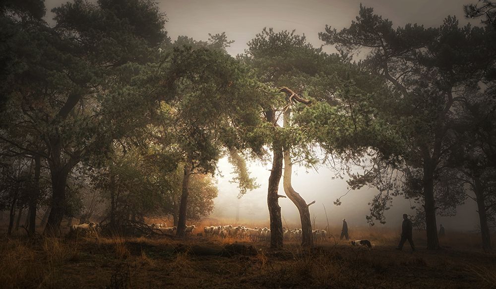 Foggy Memory  Of The Past art print by Saskia Dingemans for $57.95 CAD