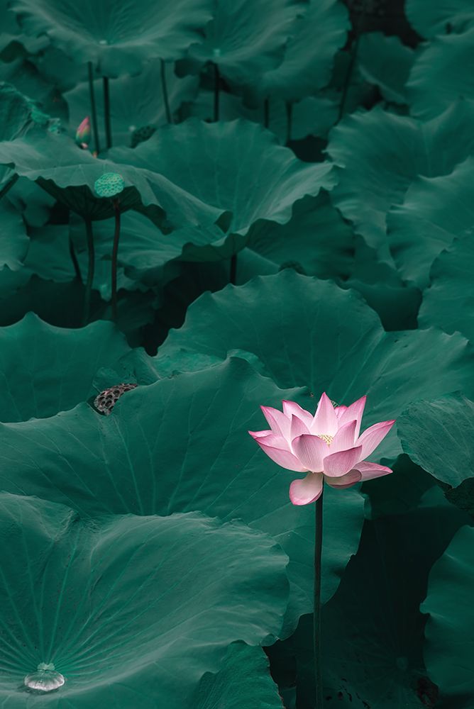 Outstanding art print by Shutterlore for $57.95 CAD