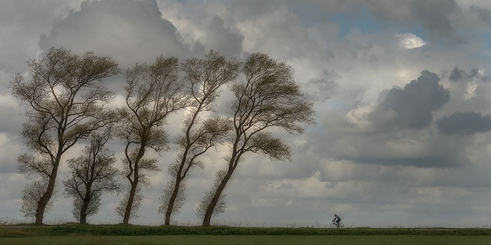 Against the wind........... art print by Piet Haaksma for $57.95 CAD