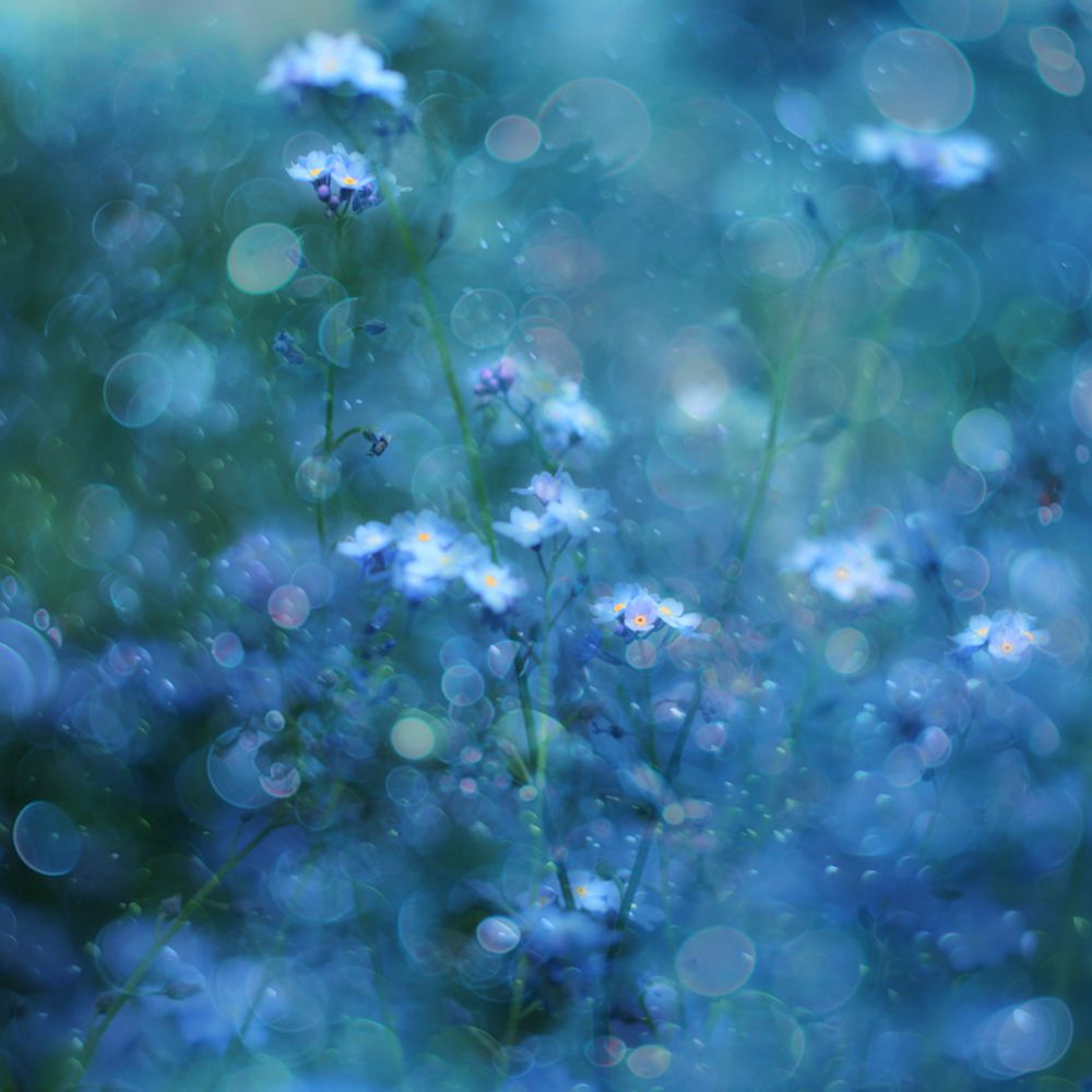 Blue Serenity art print by Delphine Devos for $57.95 CAD