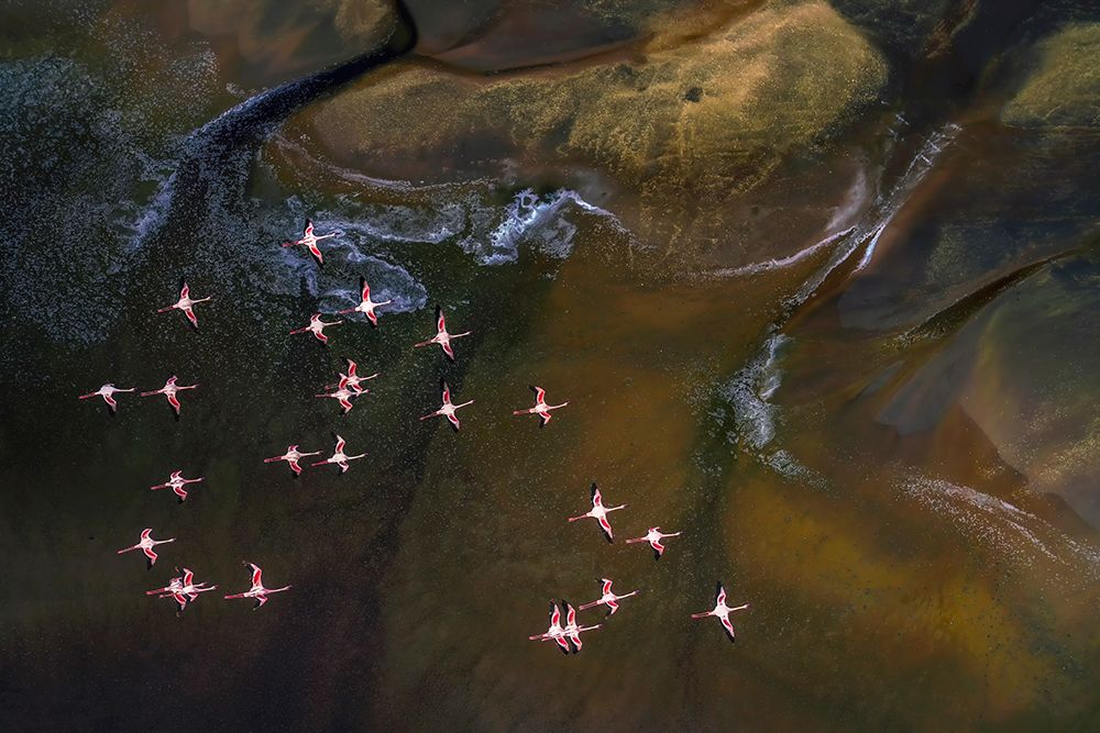 Flying Over Lake Magadi - 3 art print by Raymond Ren Rong for $57.95 CAD