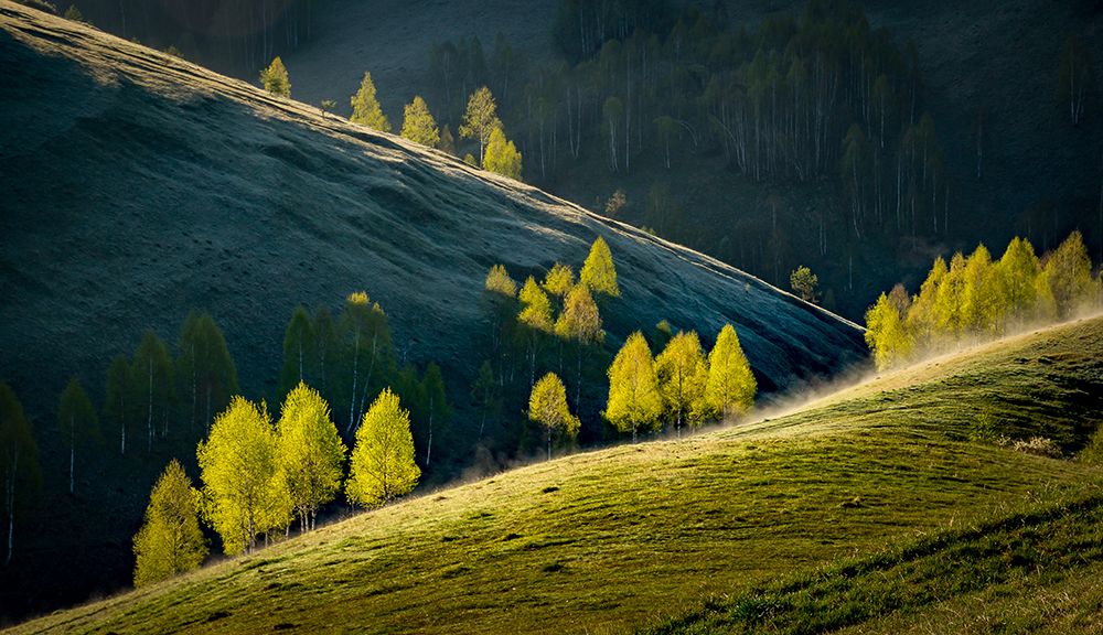Composition in the nature art print by Mihai Jeic for $57.95 CAD