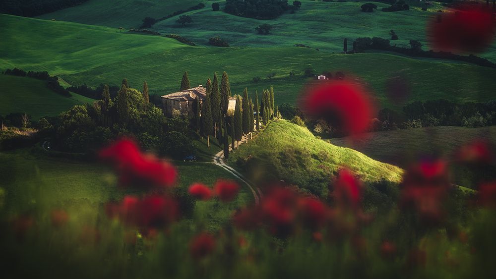 Tuscany - Spring Blossoms art print by Jean Claude Castor for $57.95 CAD