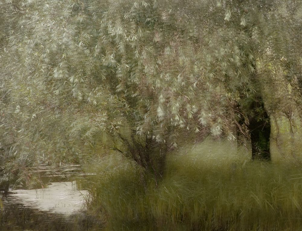 At The Riverbank art print by Nel Talen for $57.95 CAD
