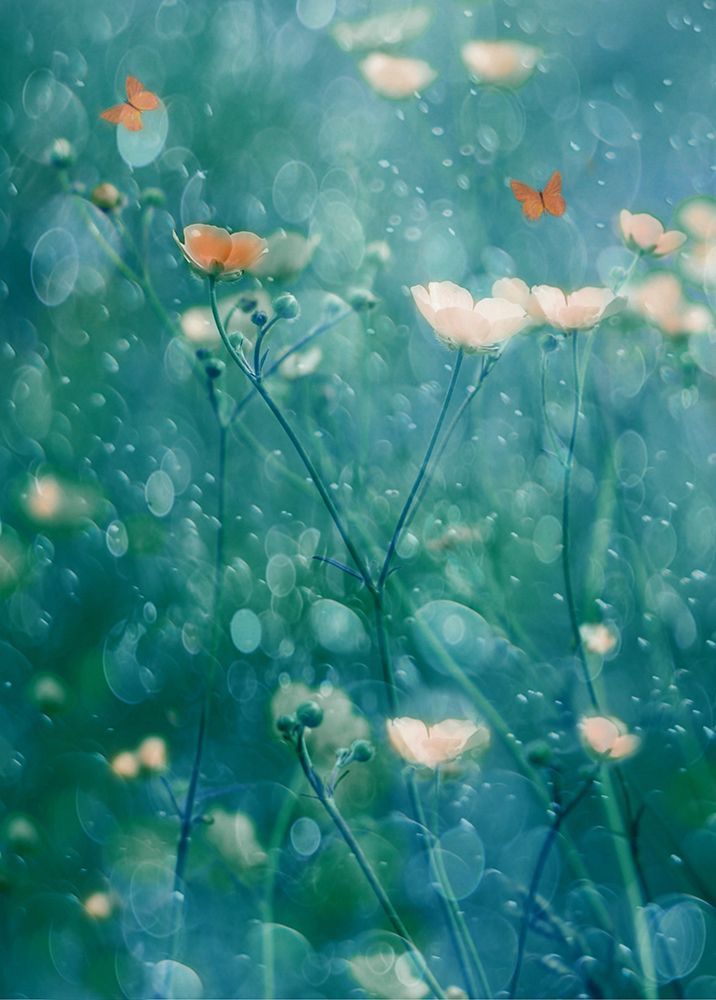 A Memory of June art print by Delphine Devos for $57.95 CAD