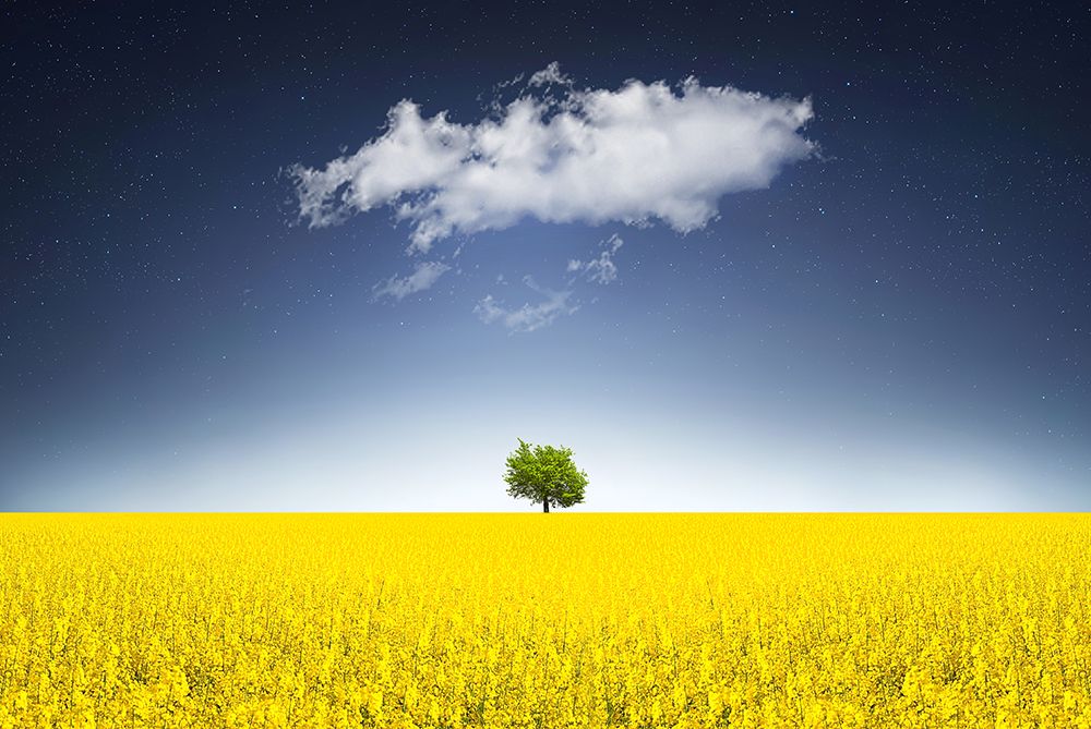 Surreal Canola Field art print by Bess Hamiti for $57.95 CAD