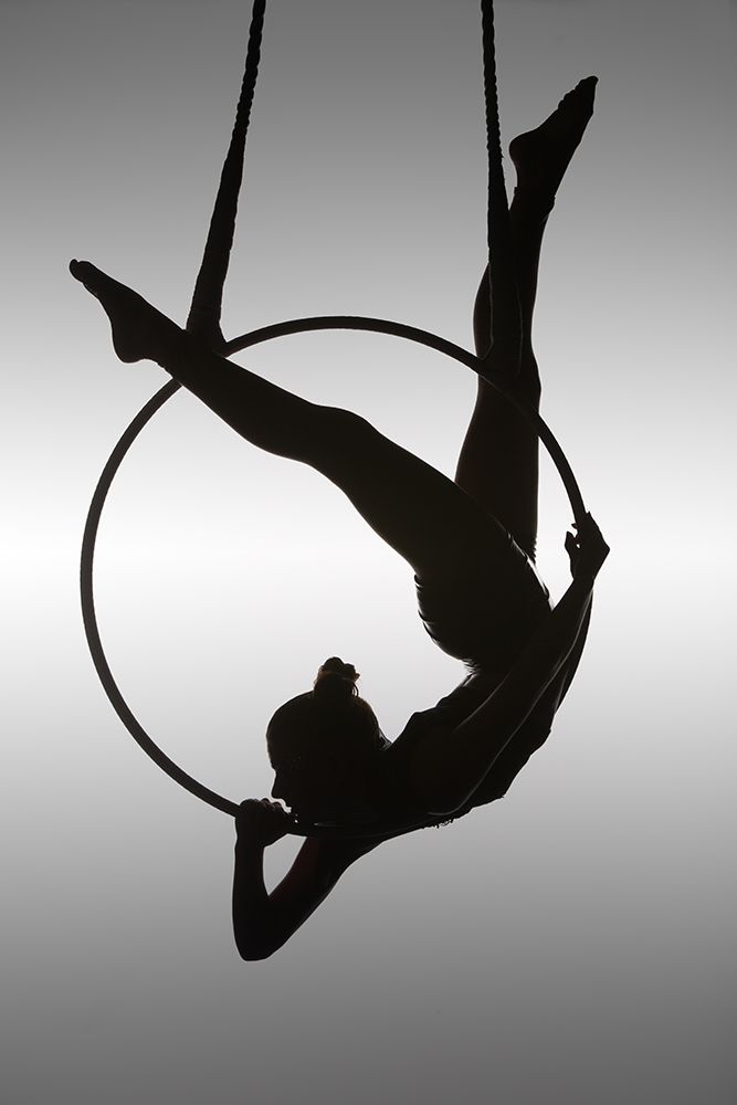 The Aerialist art print by David Naman for $57.95 CAD