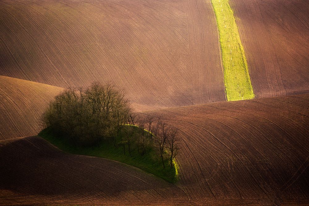 Rolling hills art print by Tomasz Rojek for $57.95 CAD