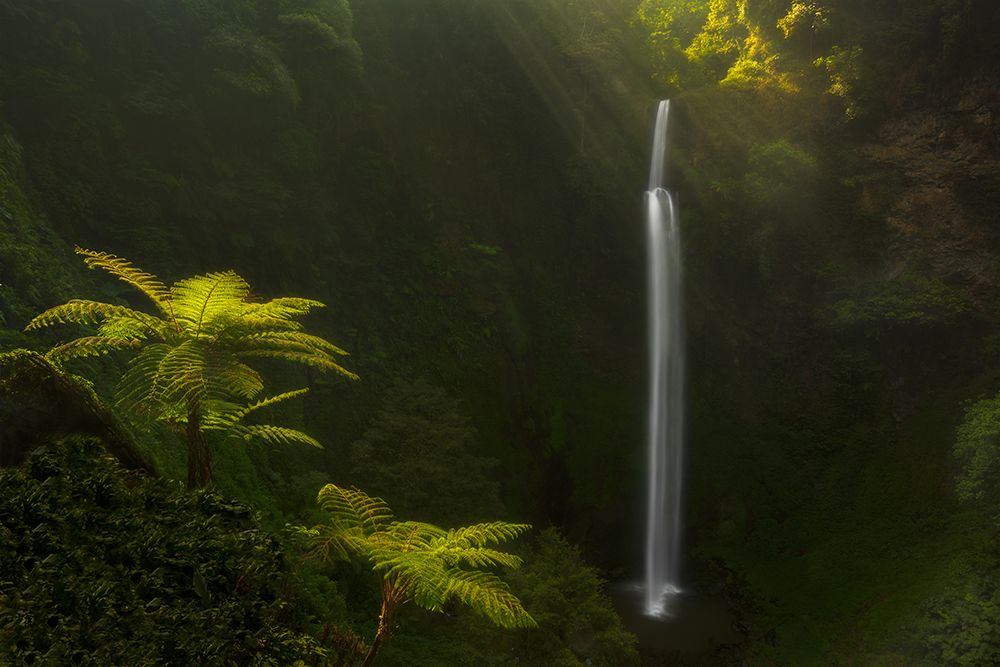 Morning Stream art print by Jerrywangqian for $57.95 CAD