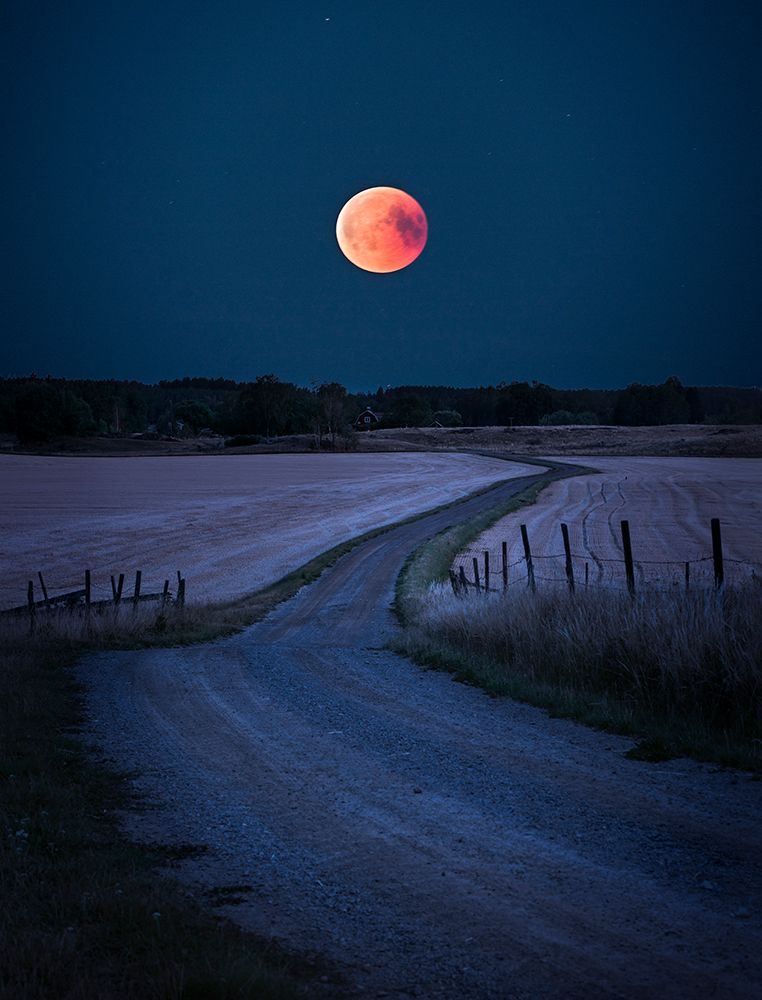 Bloodmoon 2018 art print by Christian Lindsten for $57.95 CAD