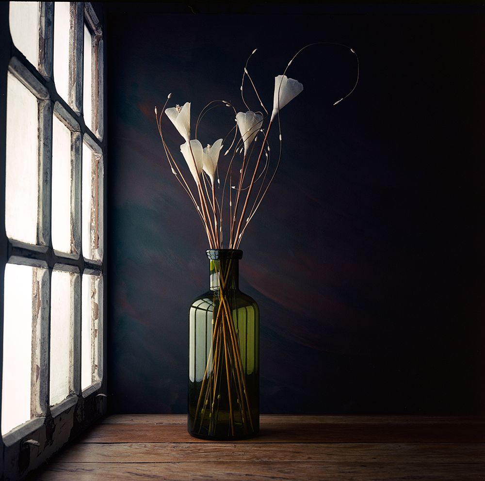 The Green Bottle art print by Luiz Laercio for $57.95 CAD