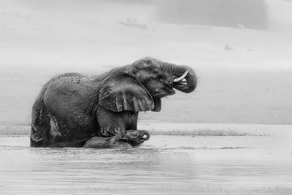 Crossing The Reiver with Mother art print by Jun Zuo for $57.95 CAD