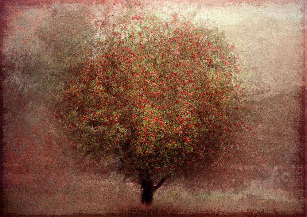 Apple Tree art print by Katarina Holmstrom for $57.95 CAD