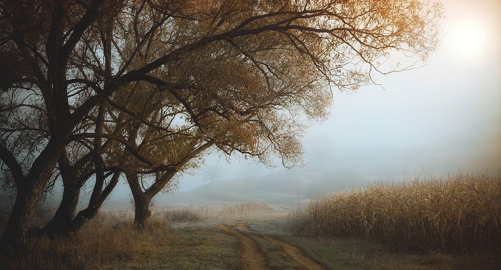 October Morning art print by Nicu Hoandra for $57.95 CAD