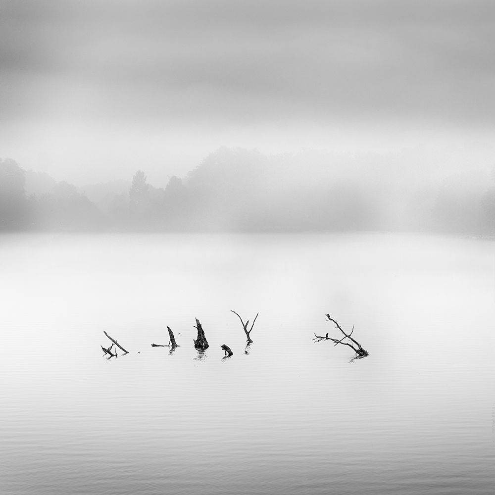 Waterland art print by George Digalakis for $57.95 CAD