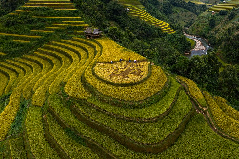 Mu Cang Chai - VietNam art print by Phat Dao Tan for $57.95 CAD