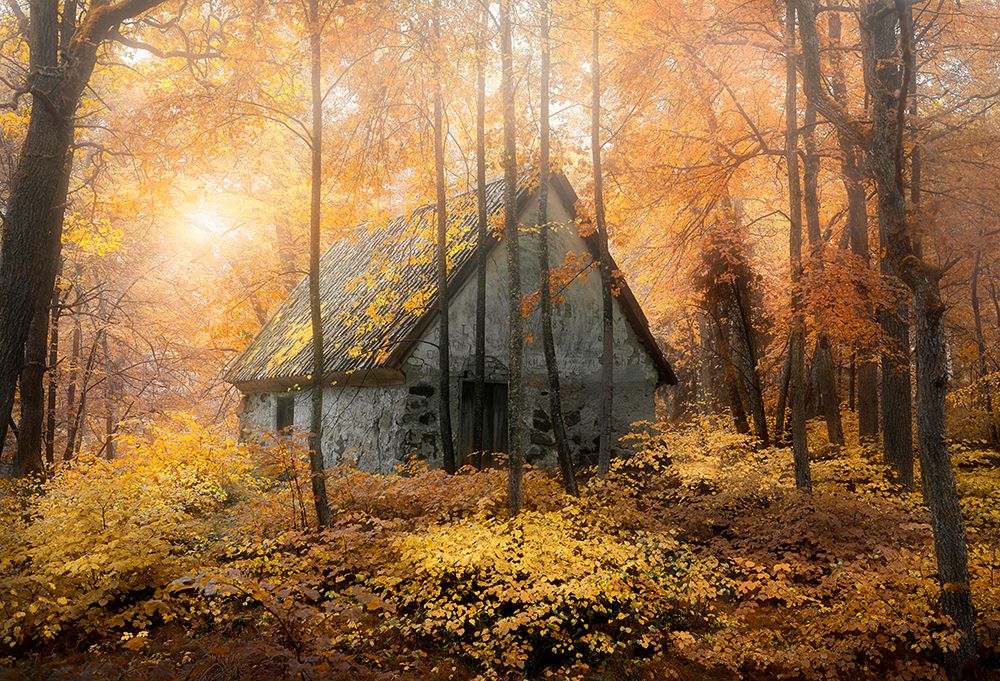 House In The Forest During Fallseason art print by Christian Lindsten for $57.95 CAD