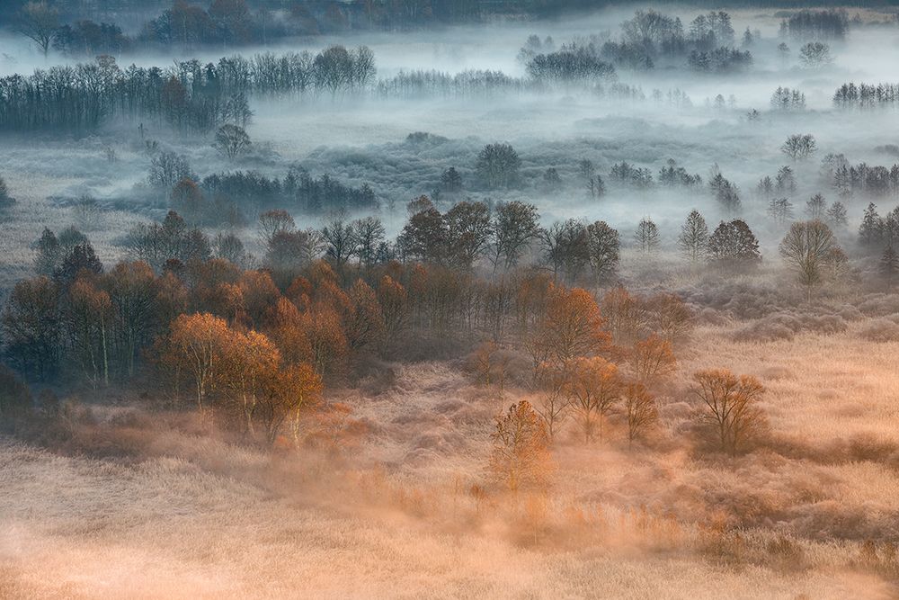 Autumnal Misty Dawn art print by Fiorenzo Carozzi for $57.95 CAD