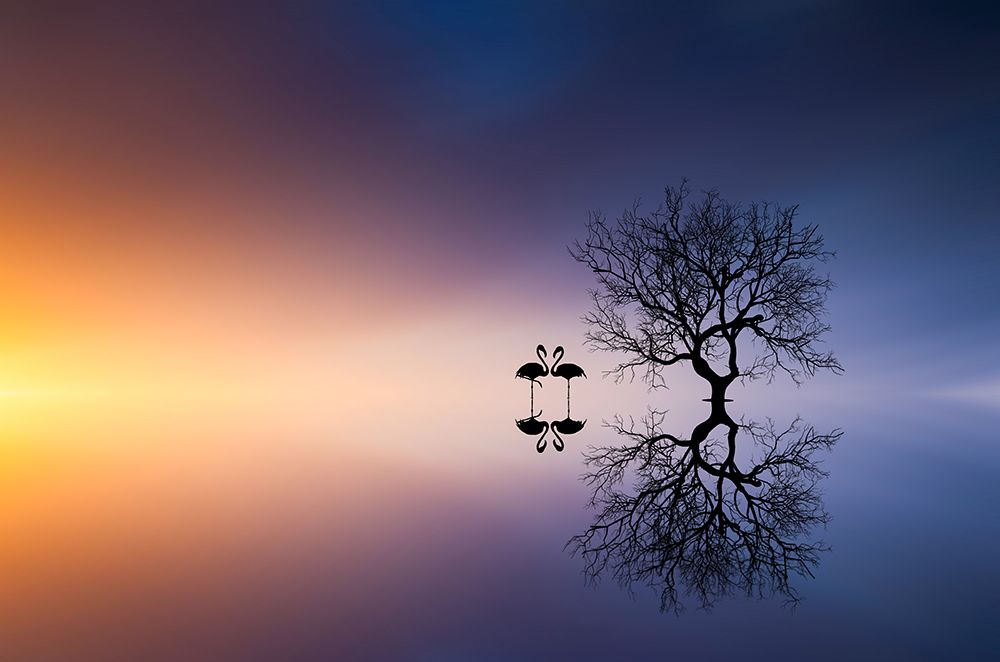 Flamingos In A Lake With A Tree art print by Bess Hamiti for $57.95 CAD