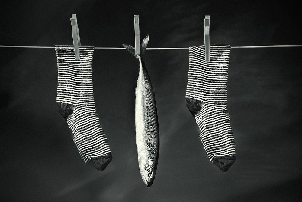 Fish on the line art print by Mike McCusker for $57.95 CAD