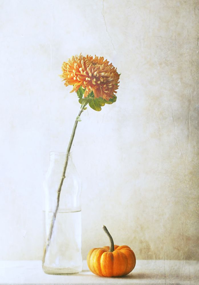 Autumn Flower art print by Delphine Devos for $57.95 CAD