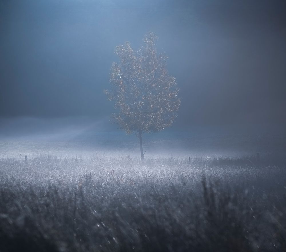 A memory of Light art print by David Ahern for $57.95 CAD