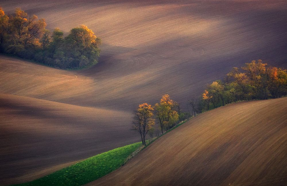Fields of South Moravia art print by Ales Komovec for $57.95 CAD