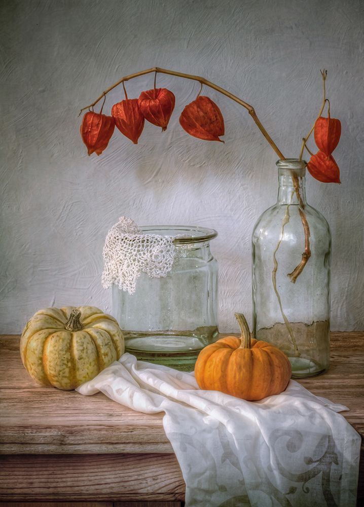 Still Life With Physalis And Pumpkin art print by Mandy Disher for $57.95 CAD