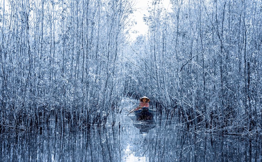Melaleuca forest in winter art print by Nguyen Tan Tuan for $57.95 CAD
