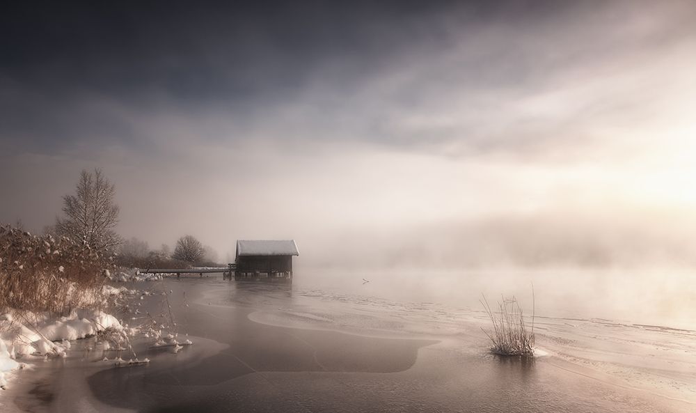 Misty Winter Morning art print by Corry DeLaan for $57.95 CAD