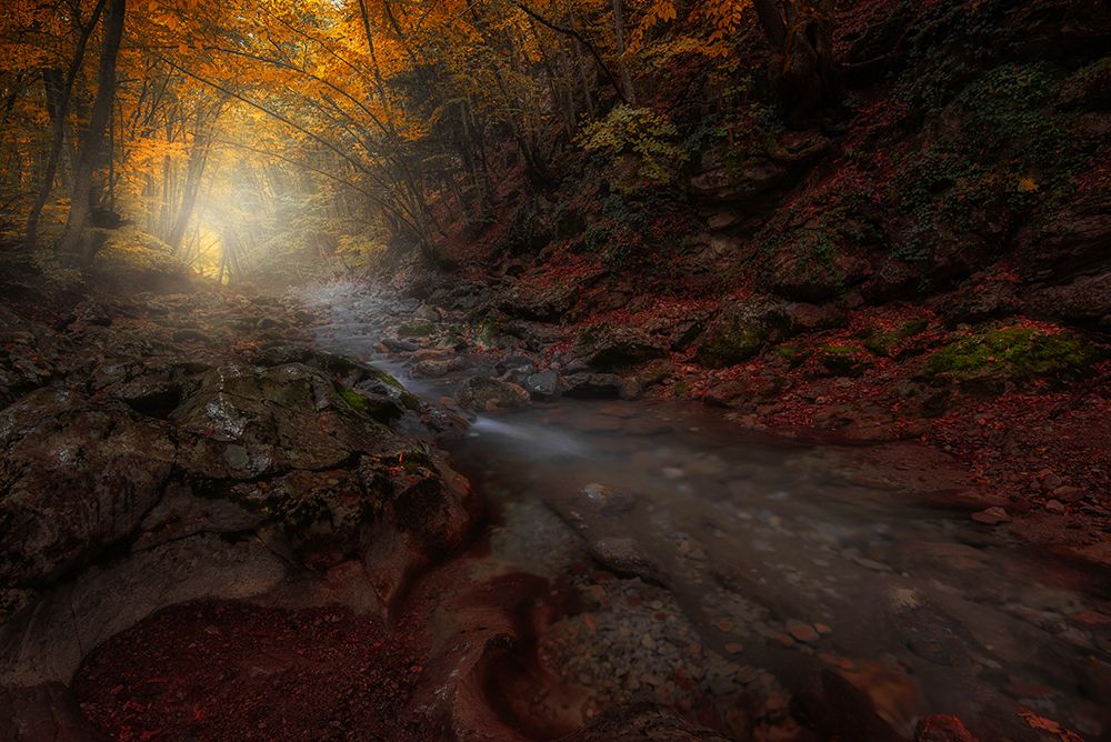 The Season of the Fall art print by Kirill Volkov for $57.95 CAD