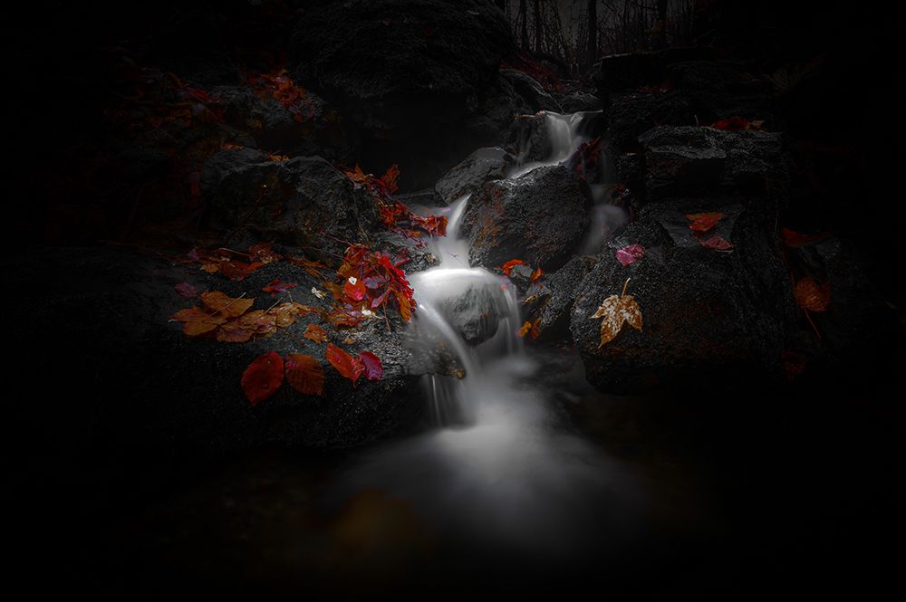 Flow and Life art print by Alessandro Traverso for $57.95 CAD