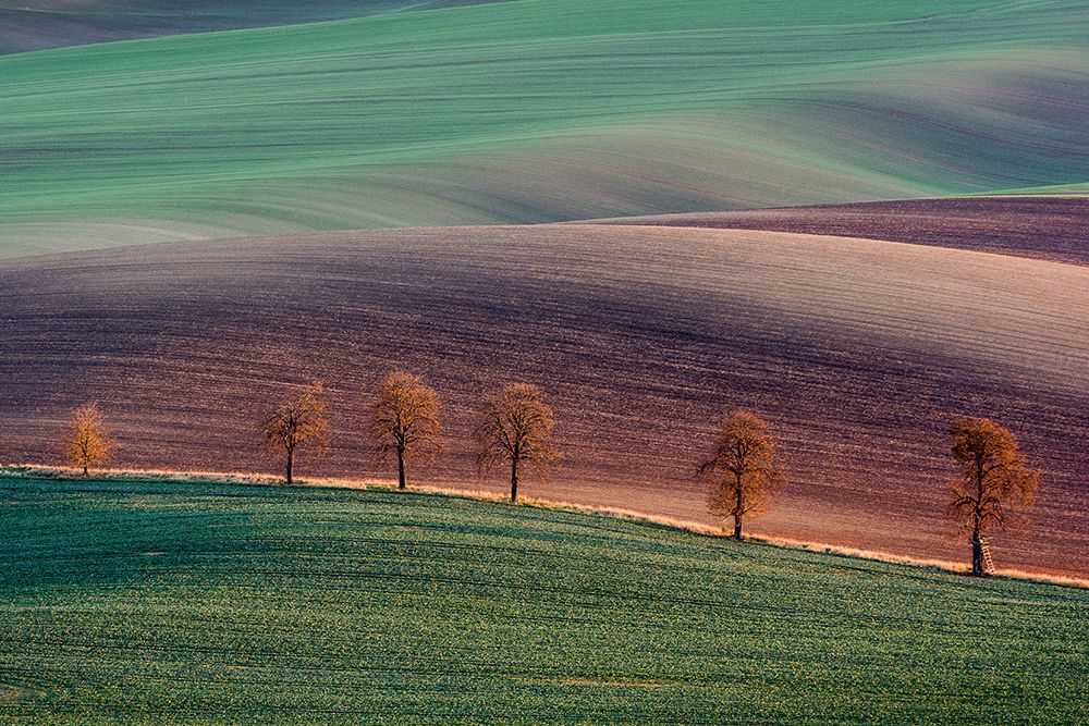 Moravian landscape art print by Zaiga Steina for $57.95 CAD