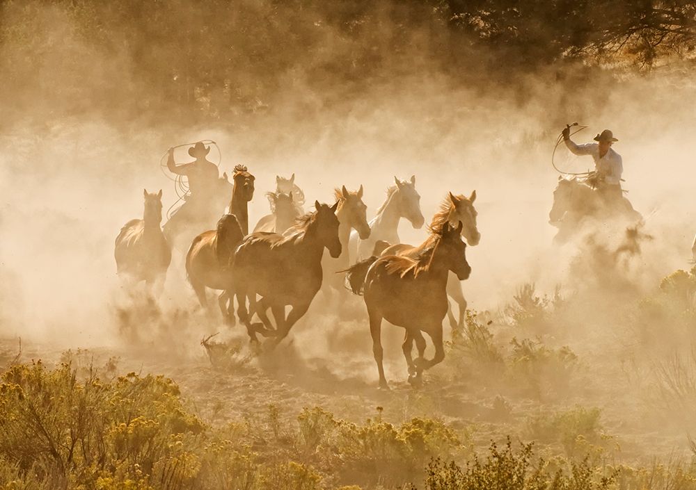 Tending the Herd art print by Stephen Rostler for $57.95 CAD