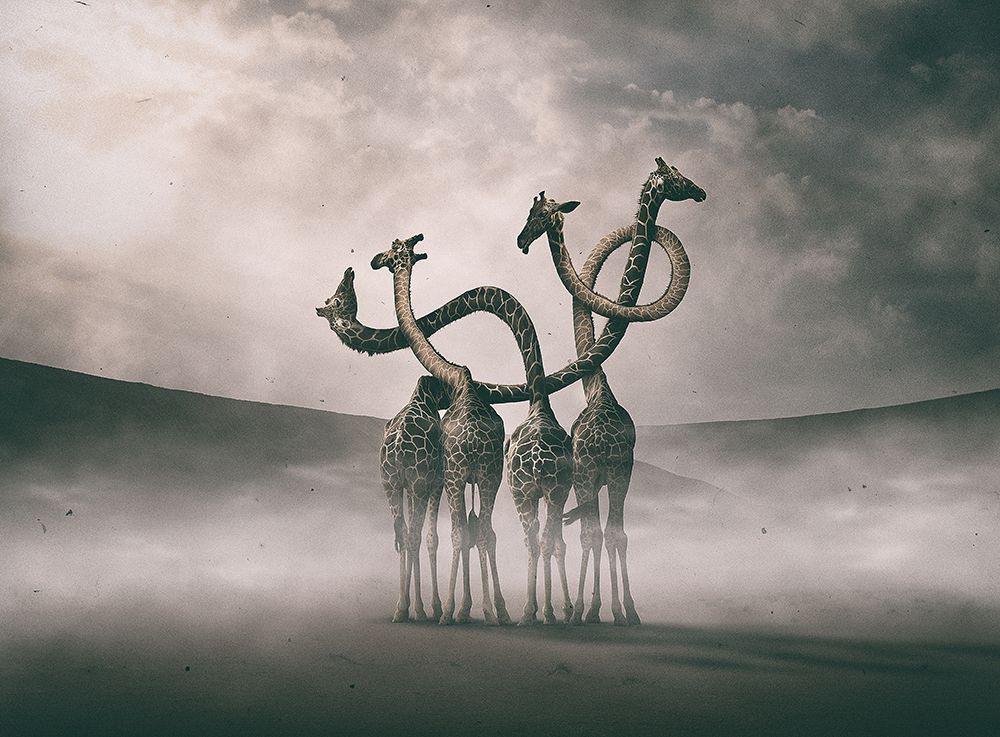 Giraffes Embracing art print by Hussain Buhligaha for $57.95 CAD