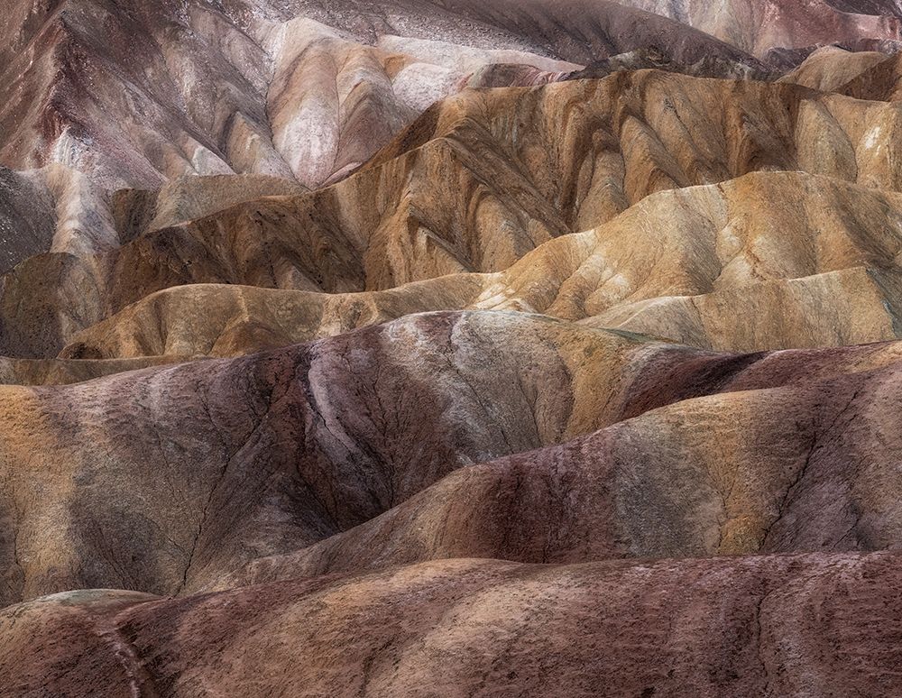 Painted Desert art print by Rob Darby for $57.95 CAD