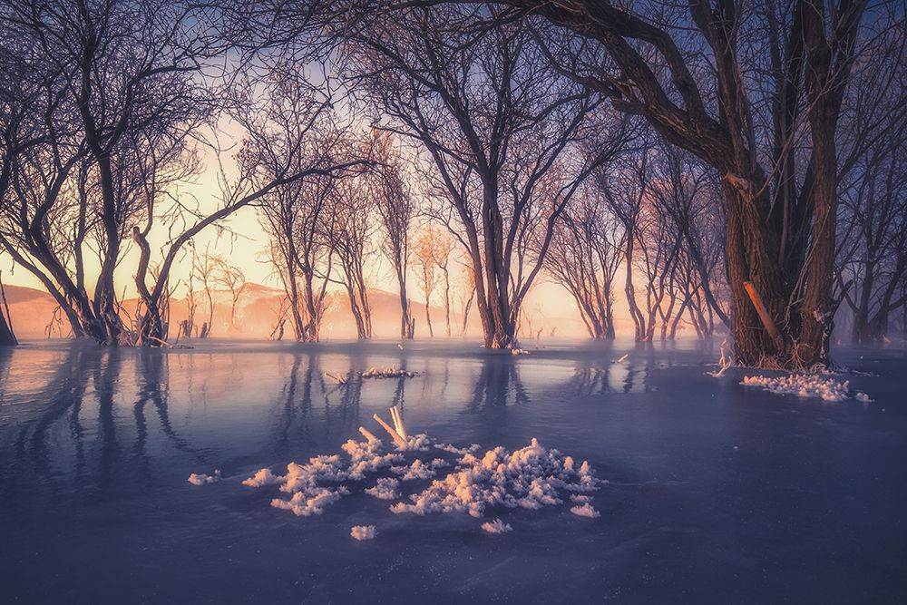 Ice and snow forest art print by TIANQI for $57.95 CAD