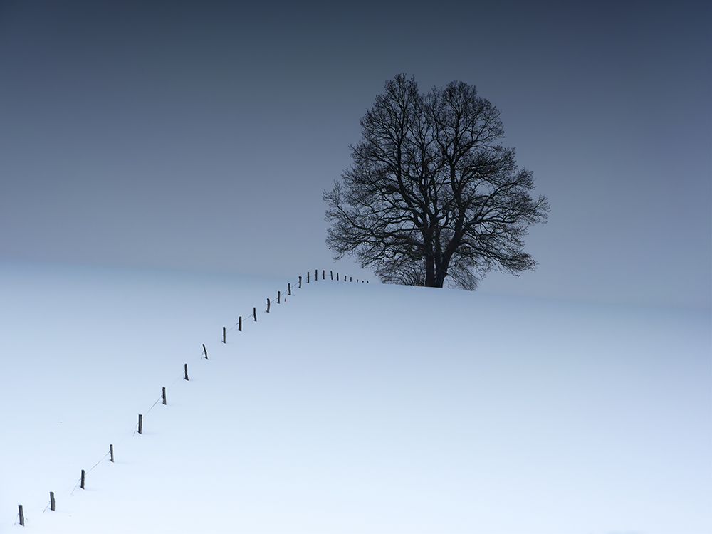 Sequence art print by Alexej Schulz for $57.95 CAD