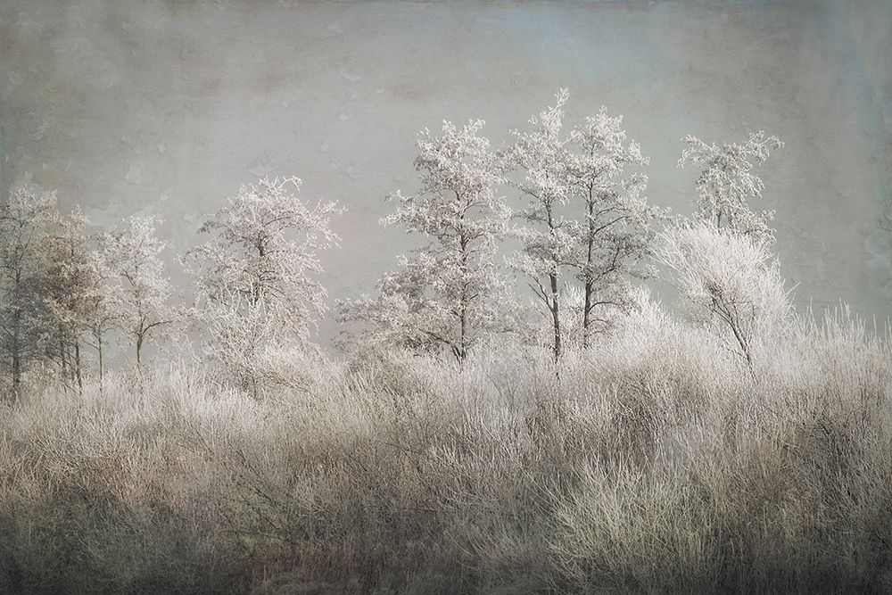Cold Morning art print by Nel Talen for $57.95 CAD