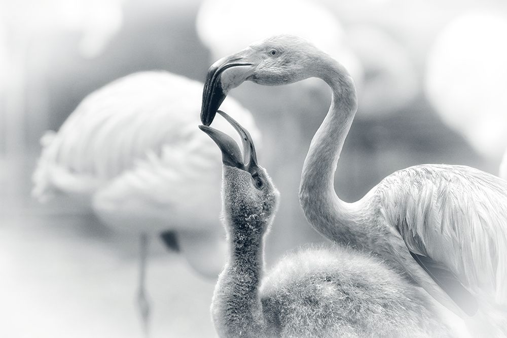 FEEDING .... art print by Antje Wenner-Braun for $57.95 CAD