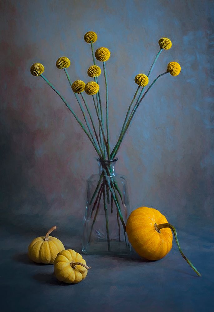 Fresh Billy Balls art print by Lydia Jacobs for $57.95 CAD