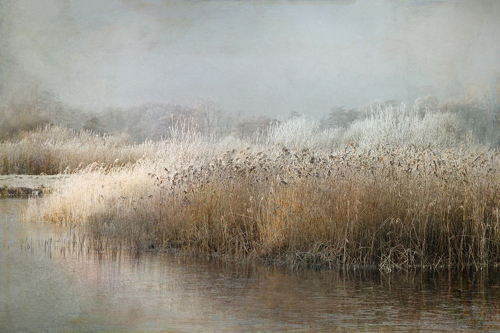 Wintermorning art print by Nel Talen for $57.95 CAD