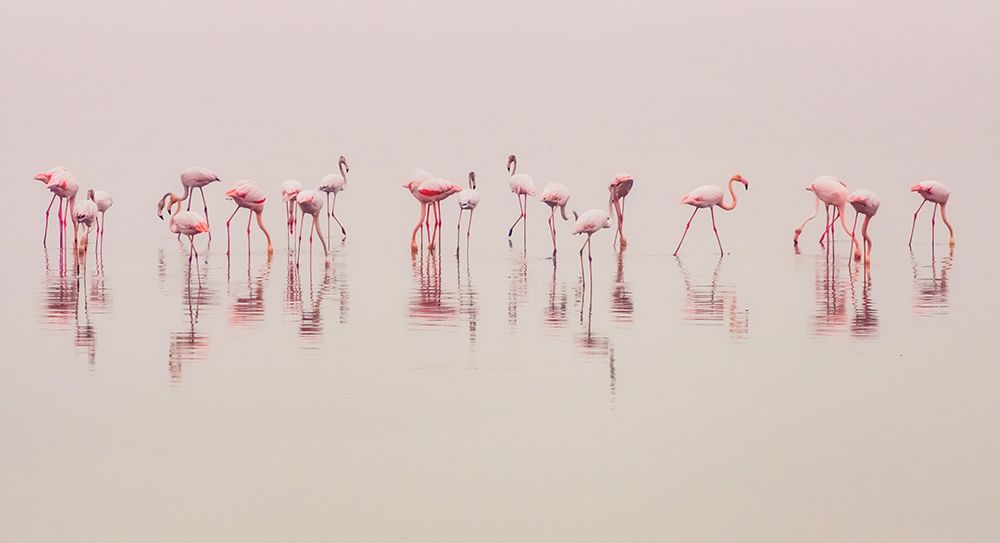 Water Ballet art print by Ahmed Thabet for $57.95 CAD
