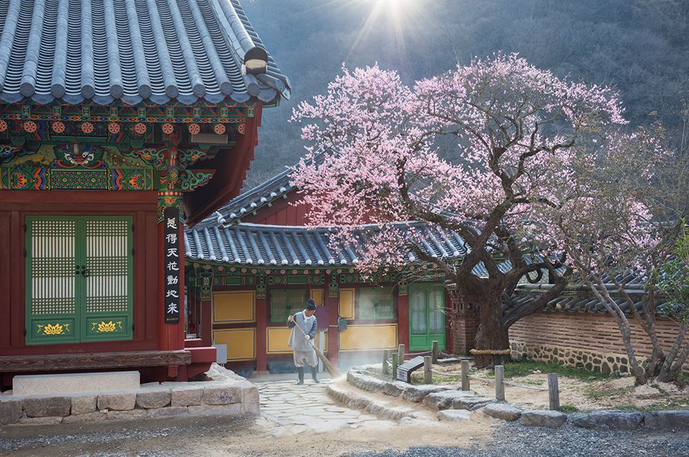 The Scent Of Spring art print by Jaeyoun Ryu for $57.95 CAD