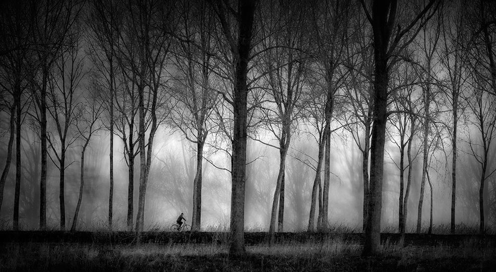 The Lonely Cyclist art print by Marc Apers for $57.95 CAD