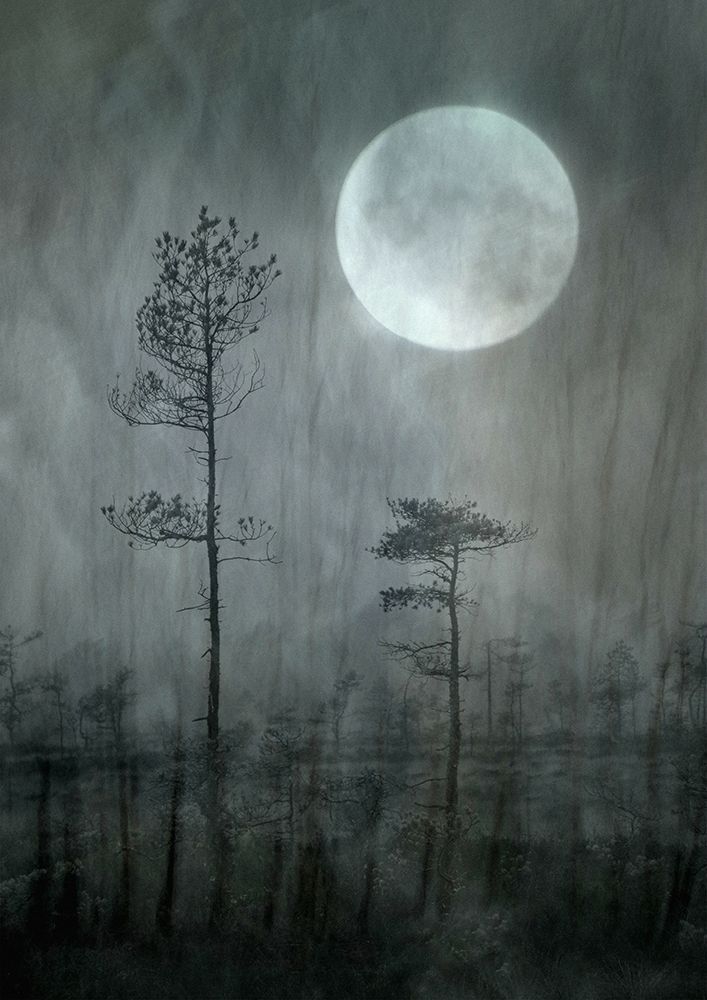 Under The Moon art print by Christina Sillen for $57.95 CAD